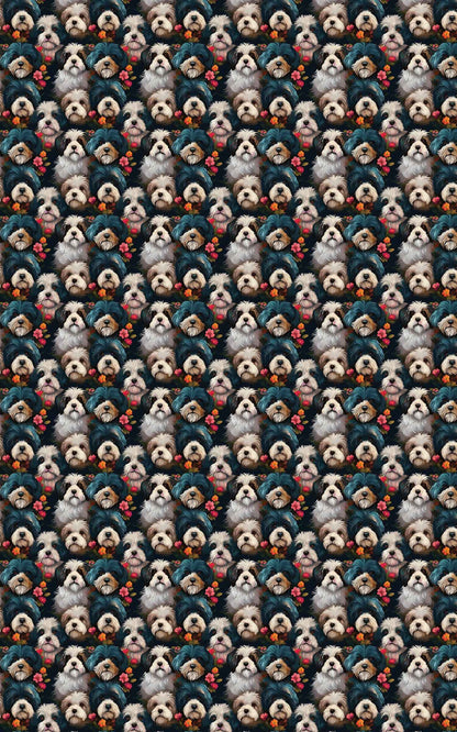 Bichon Frisé Elegance