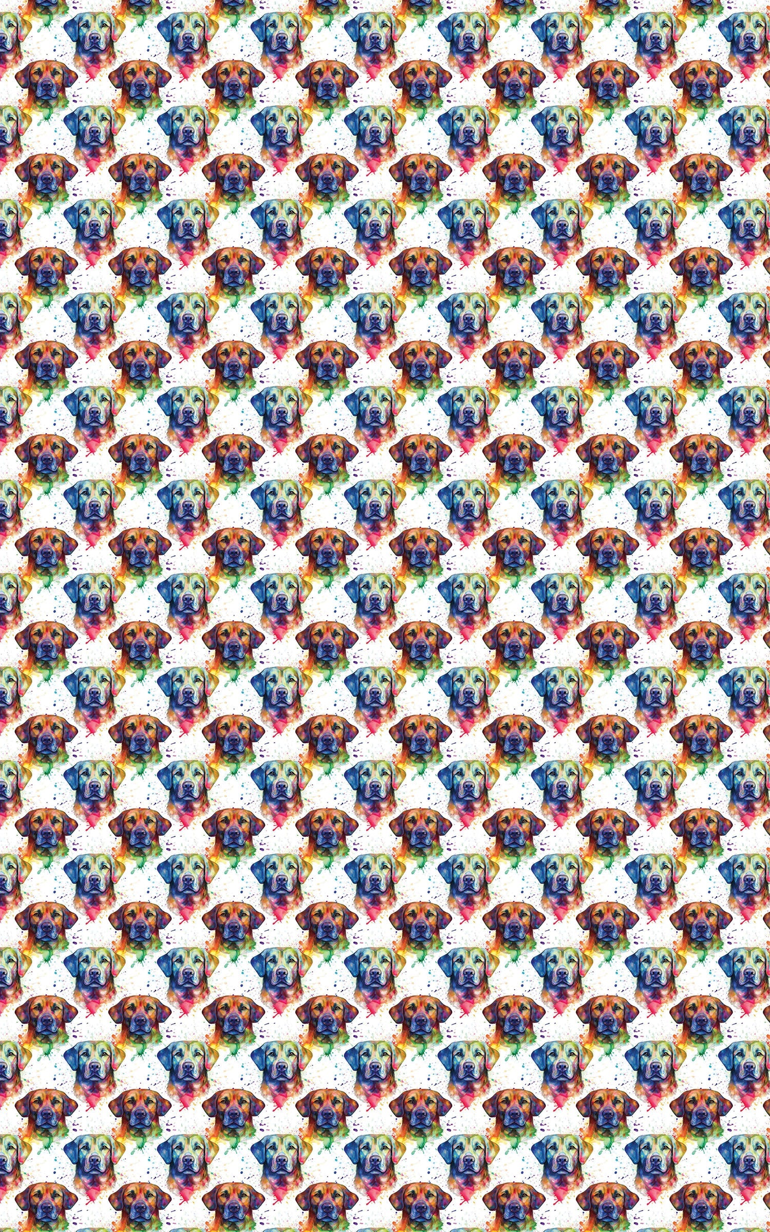 Technicolor Labrador Retriever