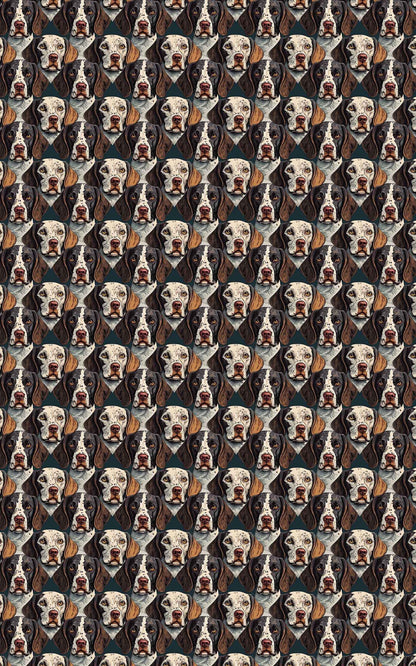 The Pointer’s Path