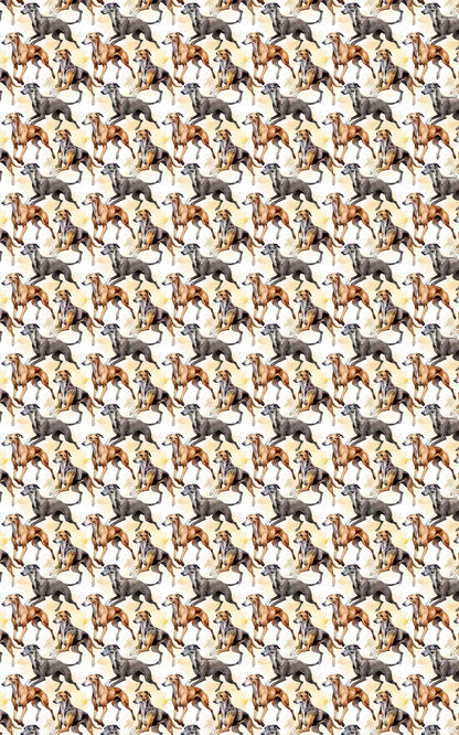 Speed &amp; Grace – Greyhound