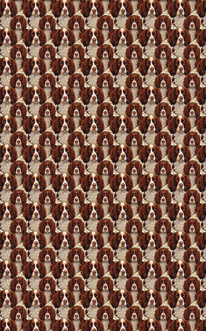 Paw Prints &amp; Springer Sprints