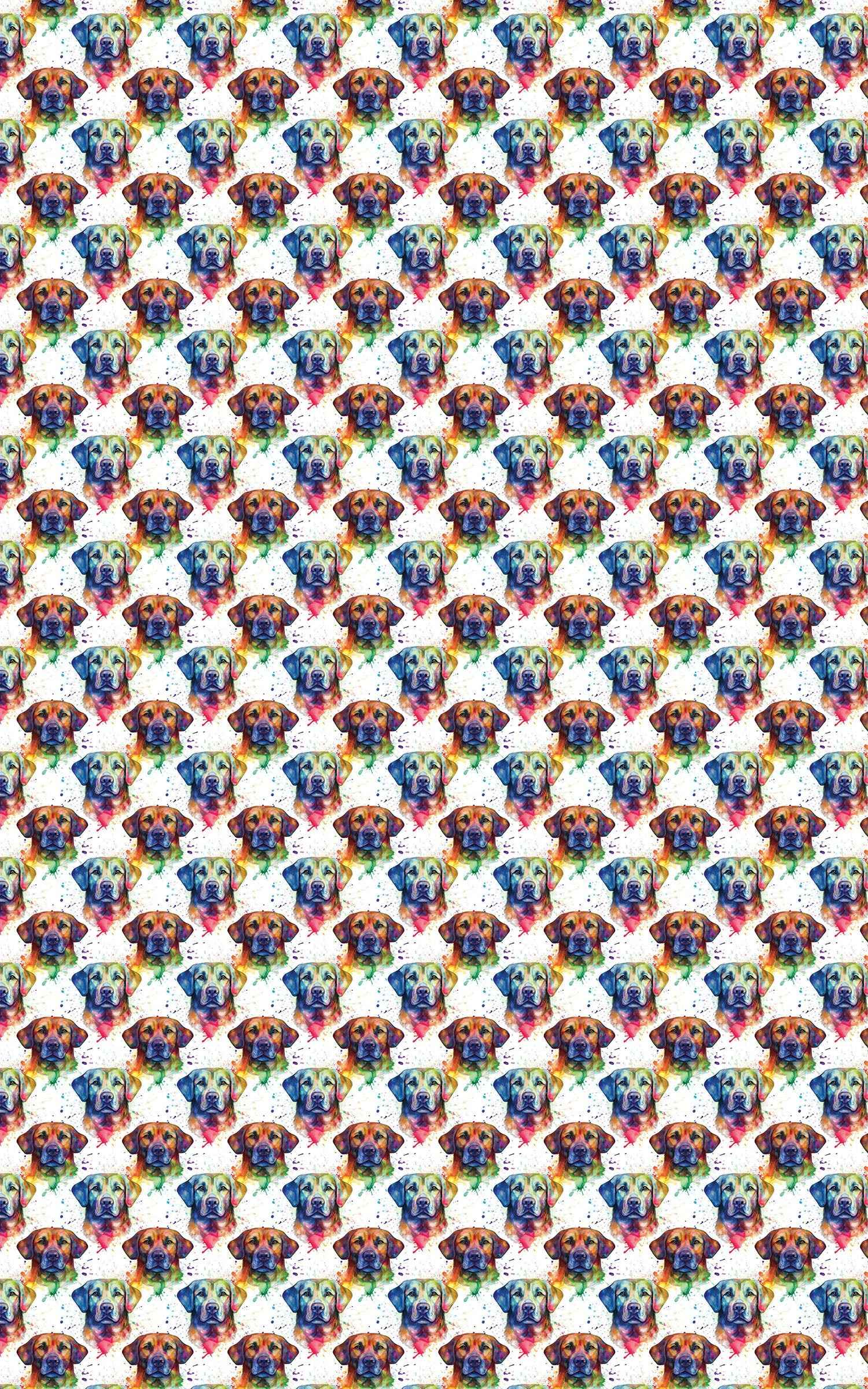 Technicolor Labrador Retriever