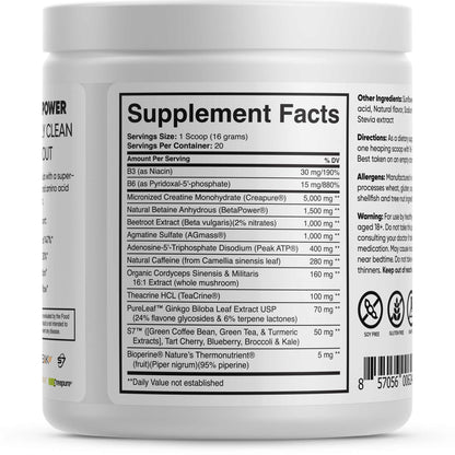 Potenza Natural Pre-Workout, 20 Servings