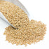 Wheat Berries, Prairie Gold (White) by Country Life Natural Foods