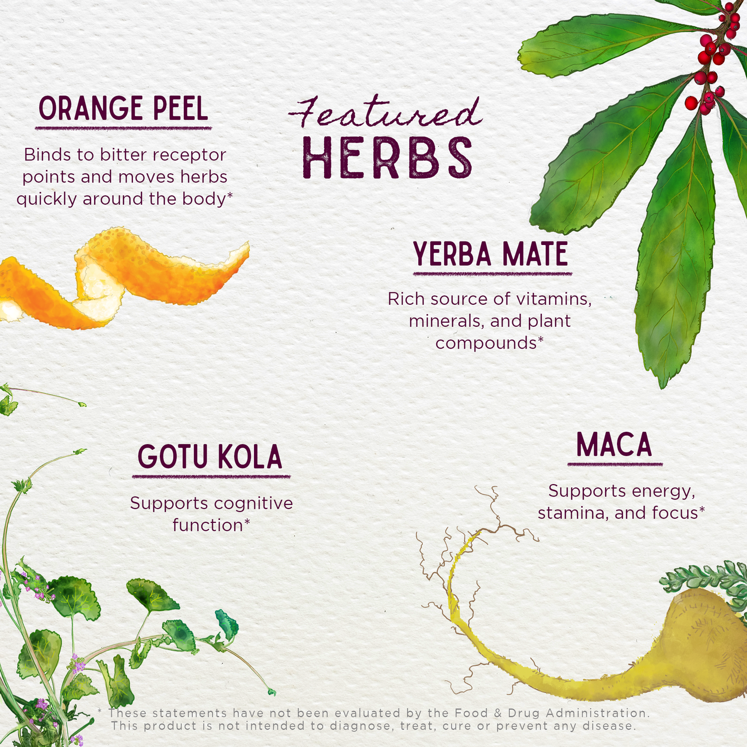 Rise &amp; Energize Daily Energy Boost by WishGarden Herbs
