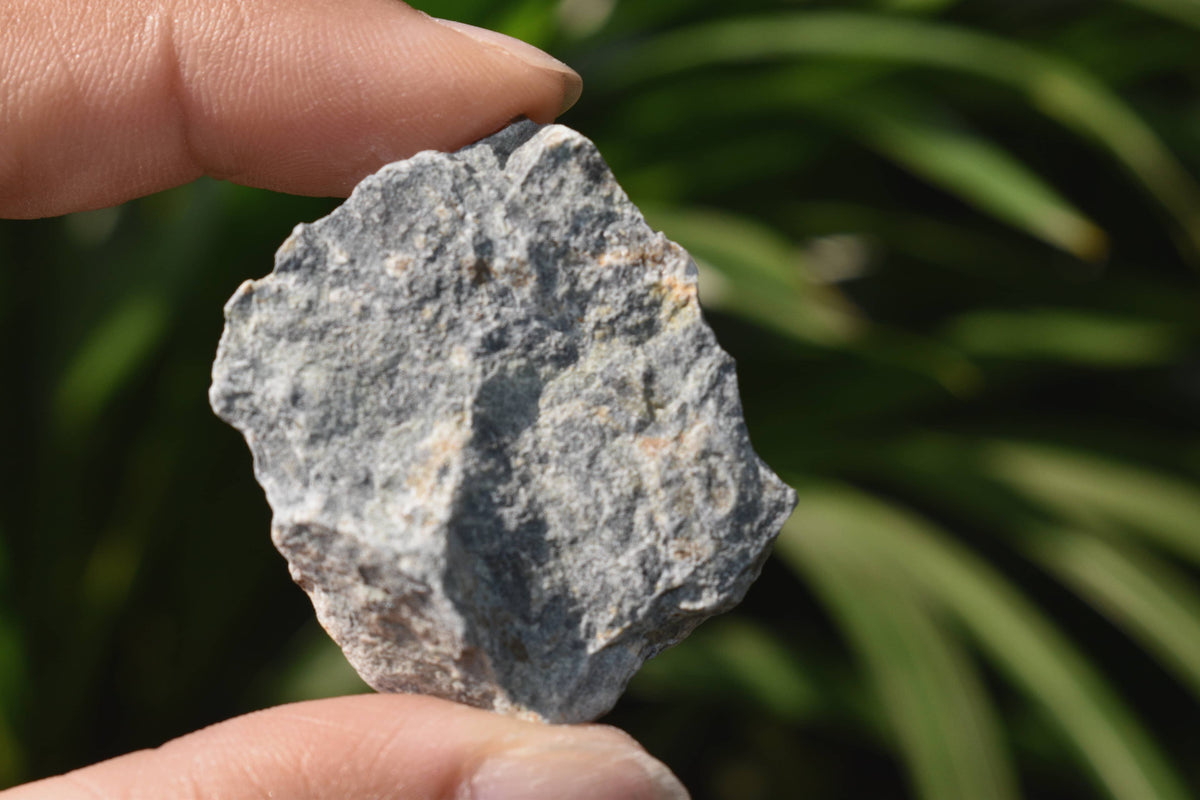 Kambaba Jasper Rough Natural Stones 1 inch Kambaba Jasper Raw Stones, Raw Crystal Chunks in pack size 4oz, 1/2lb, 1lb.  DestGlow
