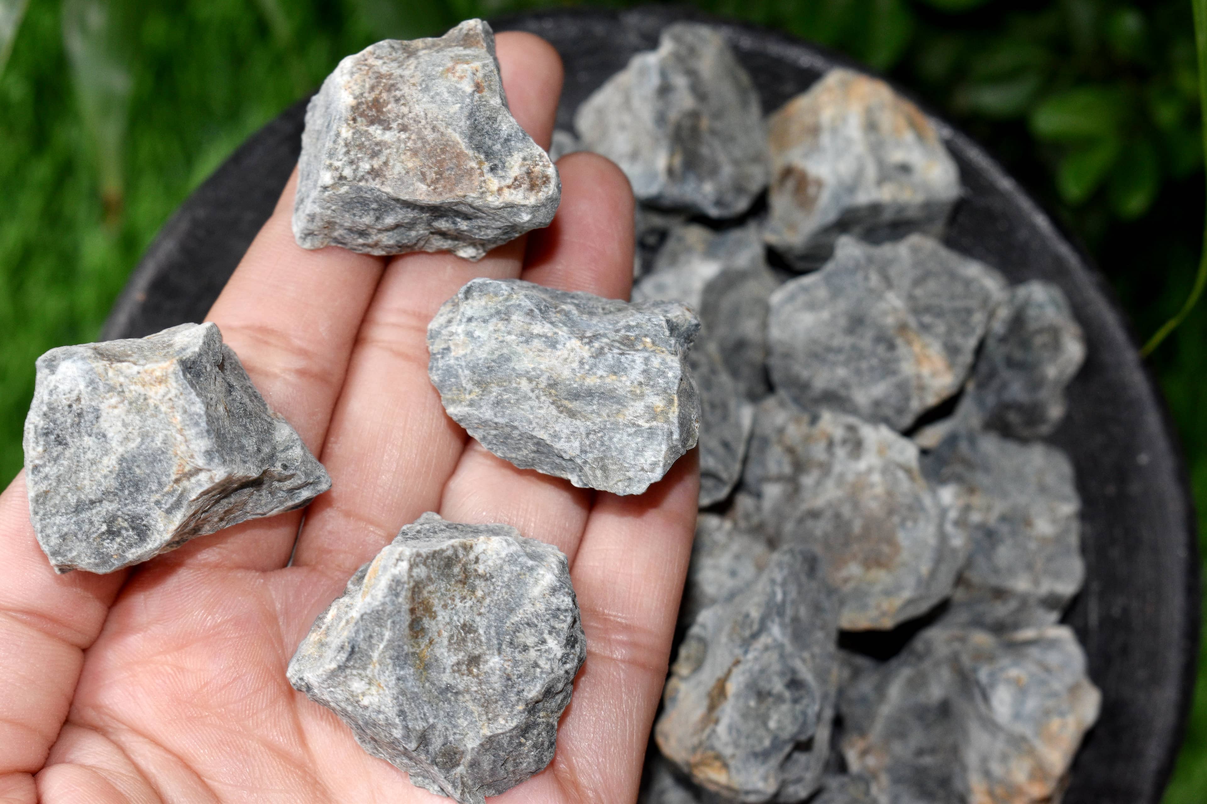 Kambaba Jasper Rough Natural Stones 1 inch Kambaba Jasper Raw Stones, Raw Crystal Chunks in pack size 4oz, 1/2lb, 1lb.  DestGlow