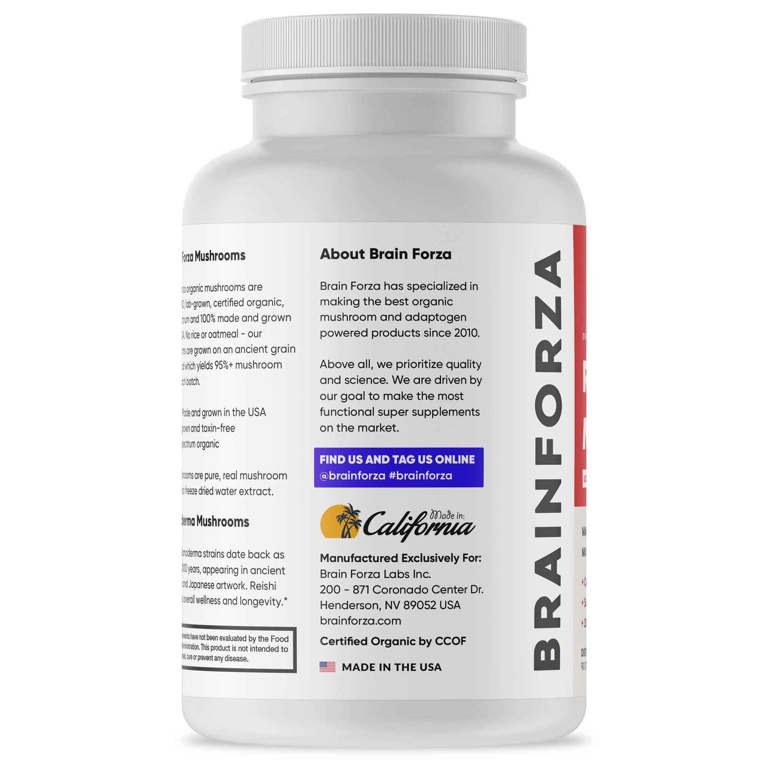 Organic Red Reishi Mushroom, 90 Capsules