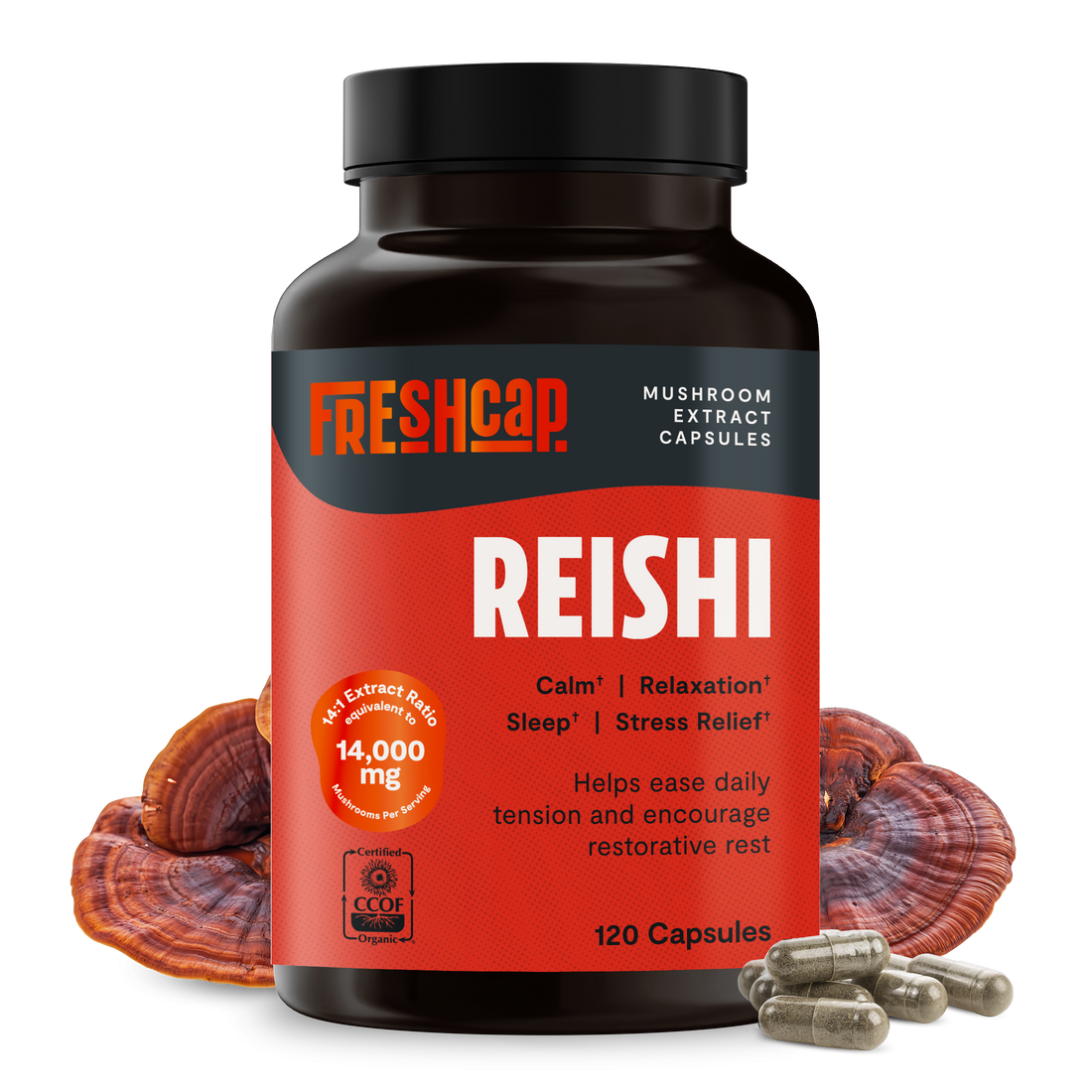 Reishi Mushroom Extract Capsules