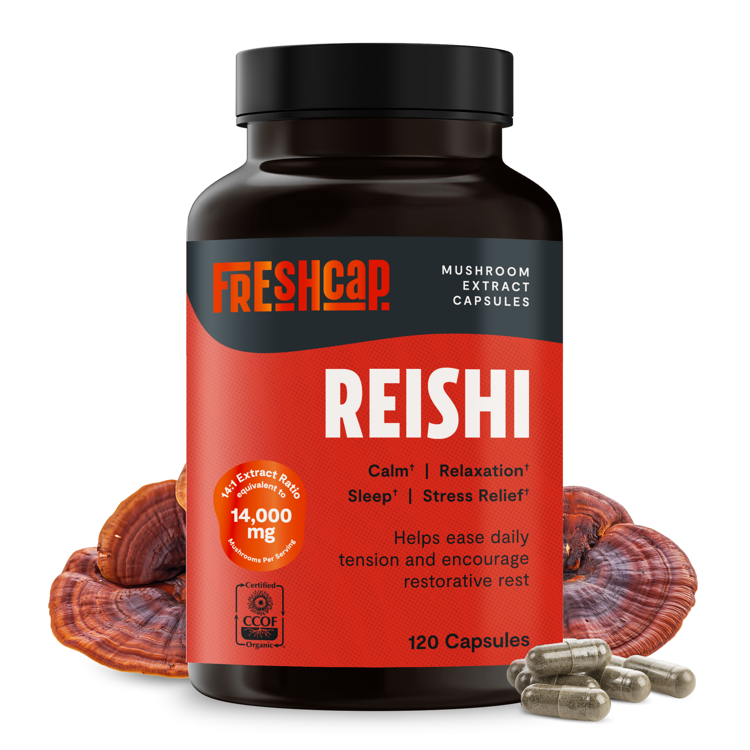 Reishi Mushroom Extract Capsules
