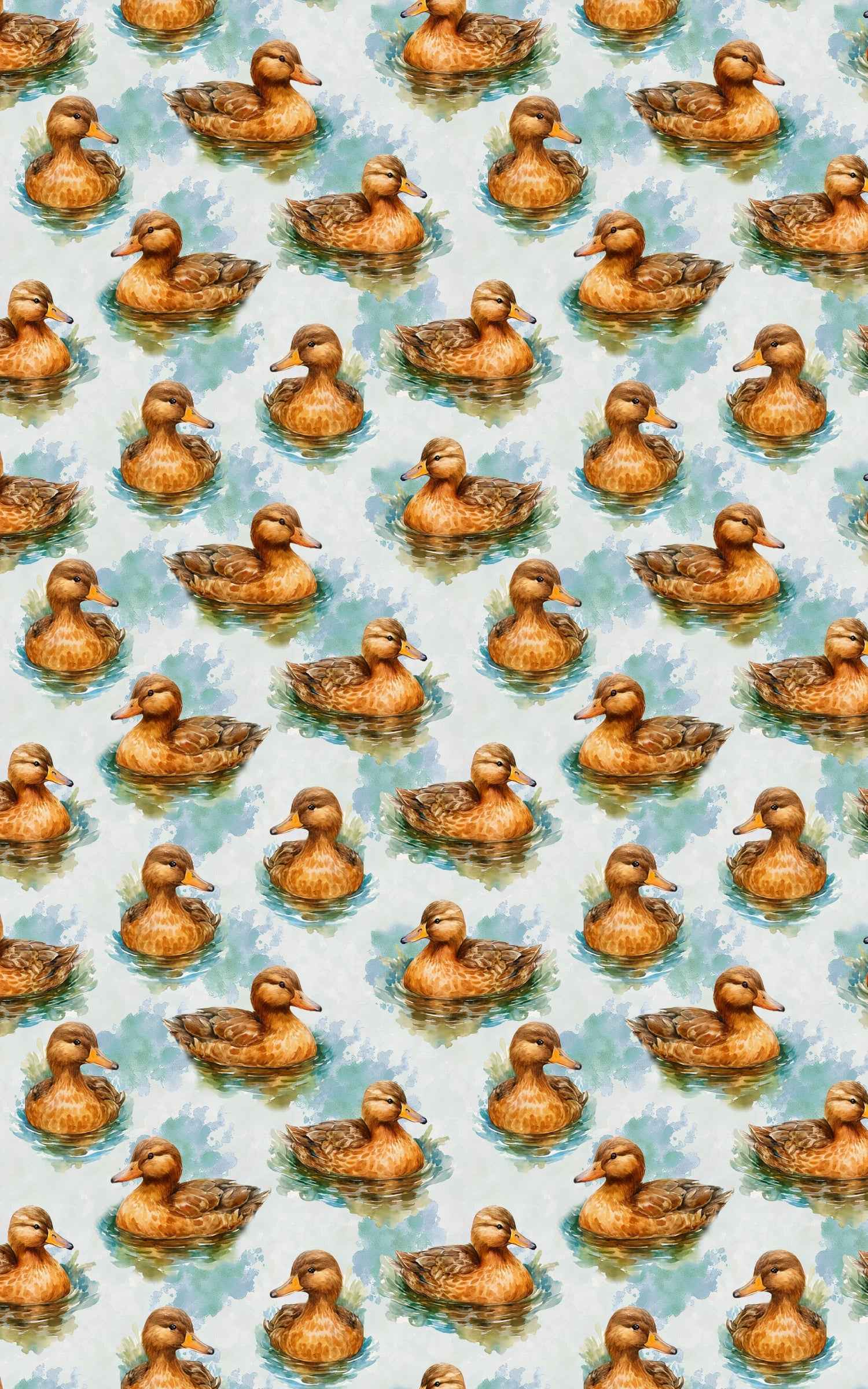 Ripples &amp; Feathers