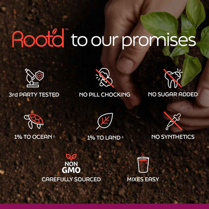 Couples’ Wellness Pack - The Hydrating Multivitamin - For Her &amp; Him