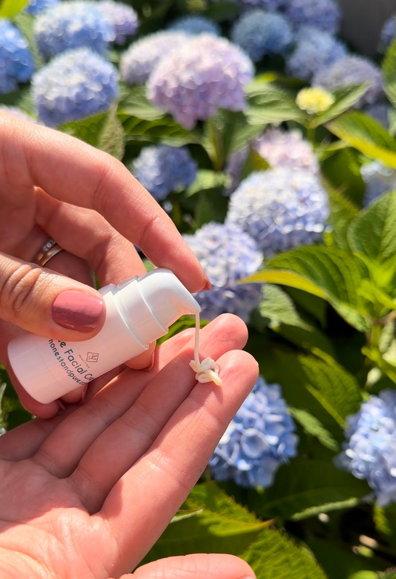 Rose Face Anti-Aging Cream and Moisturizer by Honest &amp; Pure