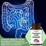 Cholesterol Support Supplement - Contains berberine, artichoke to support healthy cholesterol levels and natural heart health