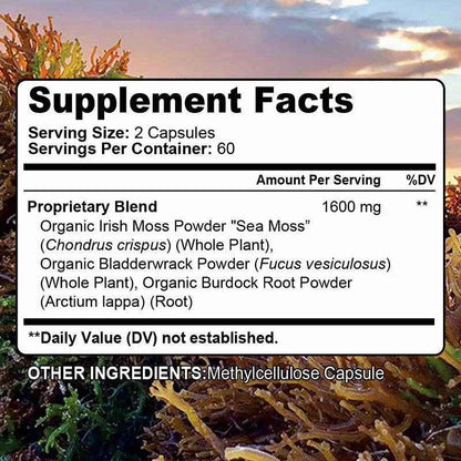 Irish Sea Moss Extract, 1600 Mg, Immune Health, Skin Support, Joints, Detox, Cleansing, Dietary Supplement
