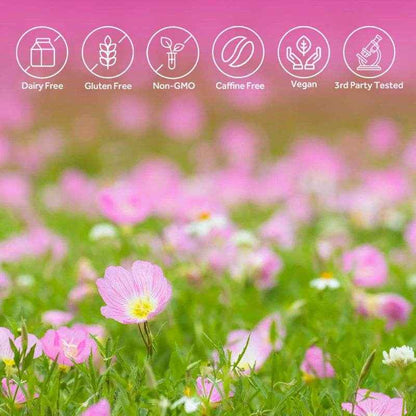 Evening Primrose Oil Supplement Capsules - Promotes Healthy Skin &amp; Cardiovascular Health - Nutritional Support for Women