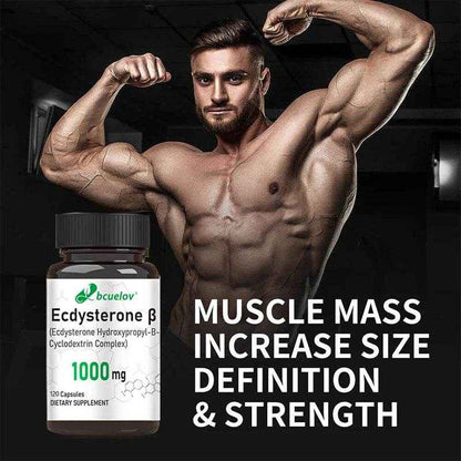 Ecdysterone Supplement - Daily Strength Enhancer, Increase Muscle Mass, Support Muscle Development, Burn Fat, 120 Capsules