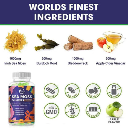 Sea Moss Gummies - 60 Gummies - Made with Bladderwrack &amp; Burdock Root - Seamoss Supplement for Thyroid, Energy, Immune Support