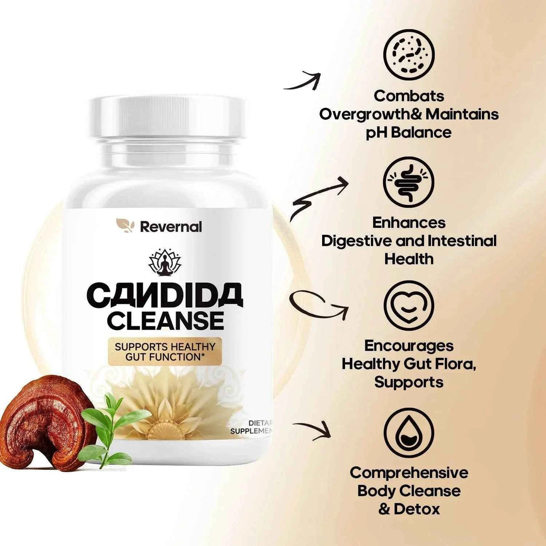 Candida Cleanse - Gut &amp; Colon Support (60 Capsules) - for Men &amp; Women - Natural Herbs for Intestinal Detox - Anti Yeast Overgrow