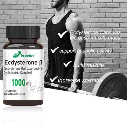 Ecdysterone Supplement - Daily Strength Enhancer, Increase Muscle Mass, Support Muscle Development, Burn Fat, 120 Capsules