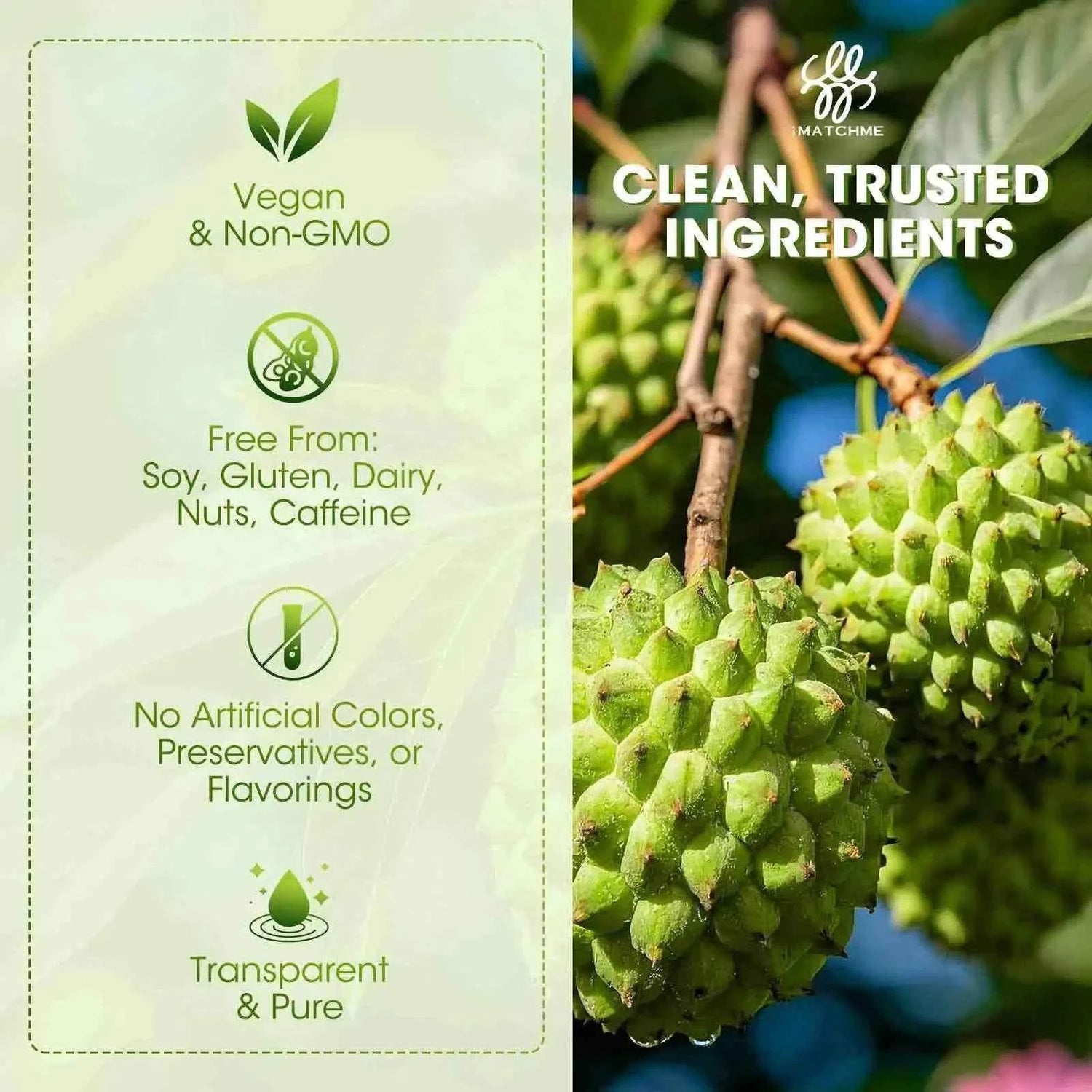 Soursop Graviola Liquid Drop for Cell Support &amp; Regeneration, Immune System and Gut Health Support, Soursop Bitters Liquid