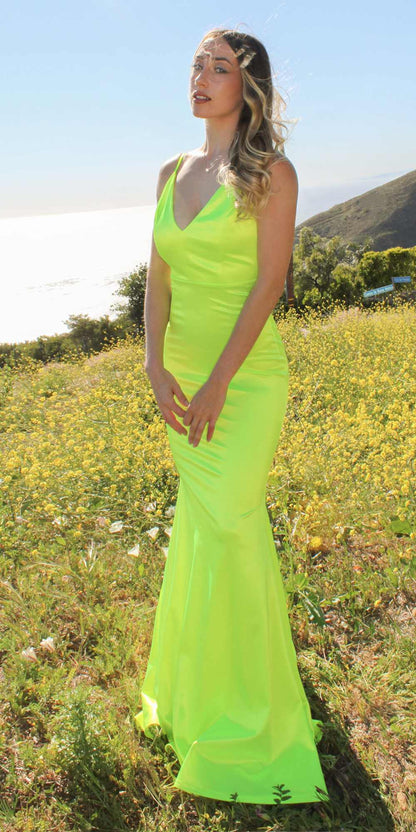 Astee SE016 Long Fitted Semi Formal Gown by Cinderella Divine by DiscountDressShop
