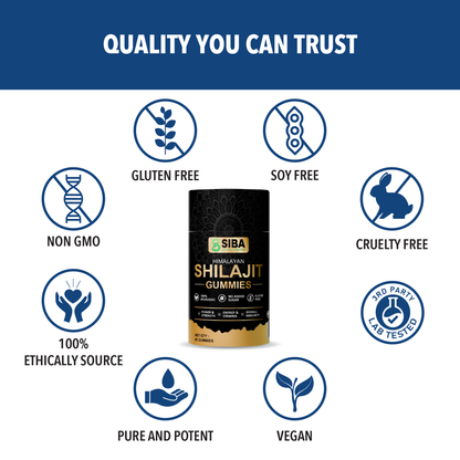 Shilajit Gummies
