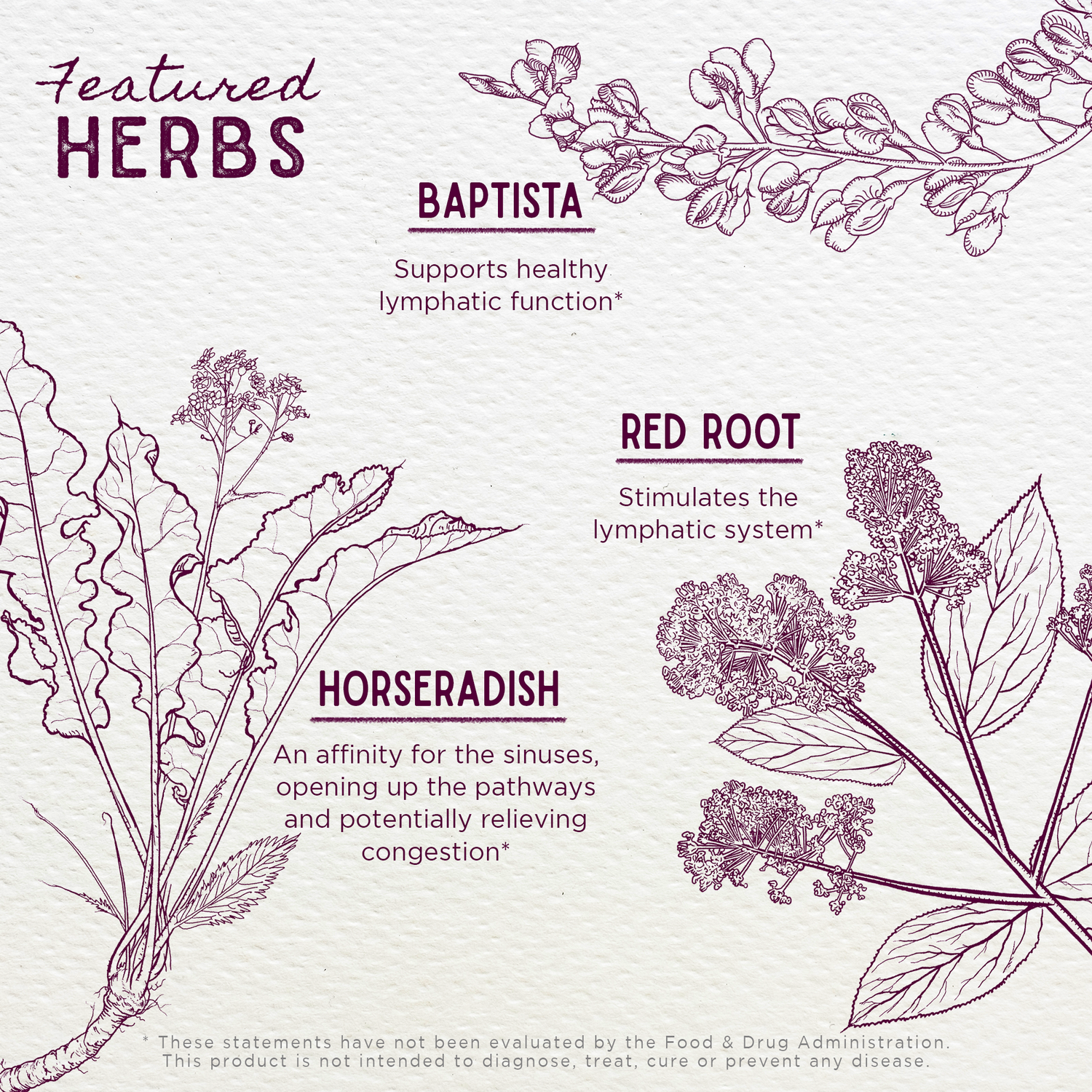 Kick-Ass Sinus Move &amp; Soothe by WishGarden Herbs