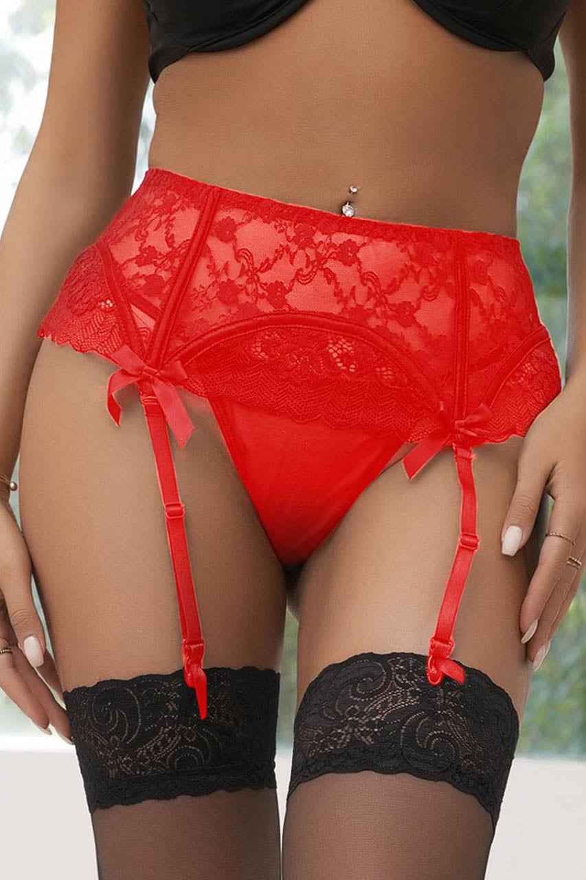 All Lace Garter Panty