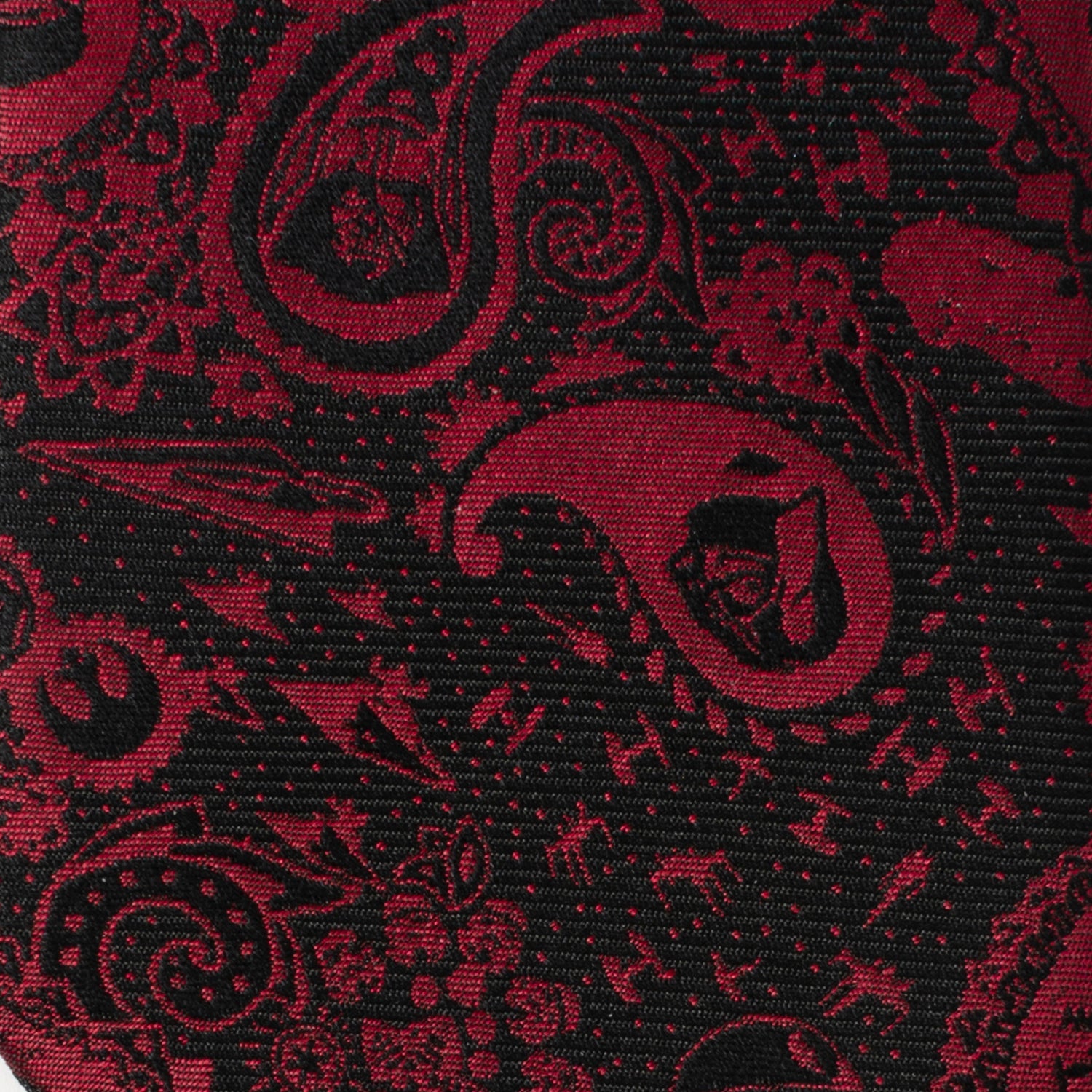 Star Wars Darth Vader Black and Red Paisley Tie by Cufflinks.com