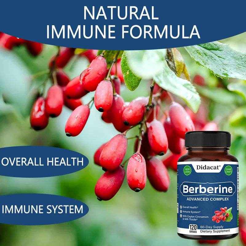 Didacat Berberine Supplement - Balance Blood Circulation, Support Heart Function Health - 120 Capsules