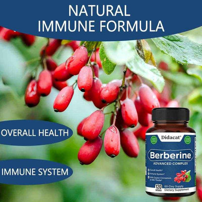 Didacat Berberine Supplement - Balance Blood Circulation, Support Heart Function Health - 120 Capsules