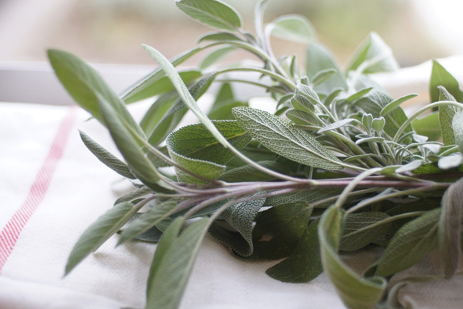 Sage, Rubbed by Country Life Natural Foods