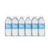 Salutaris Mineral Water 16oz (24 Pack)  DestGlow