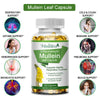 Mulittea Natural Mullein Leaf Capsules Herbal Supplement for Lung Cleanse Helps Healthy Respiratory Function & Mucous Membranes