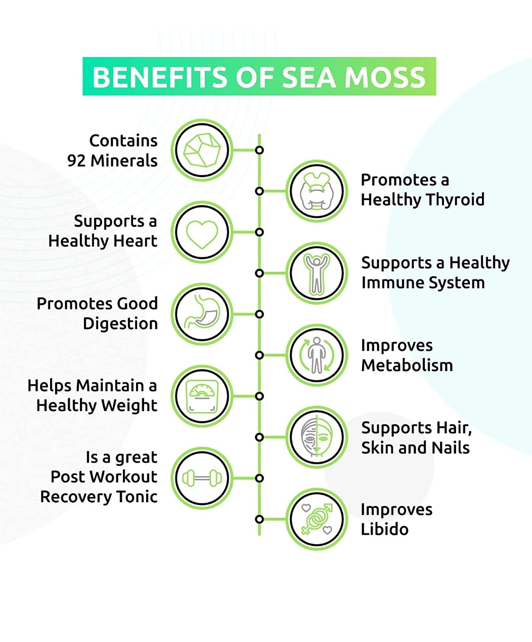 Rapid Immune Support Kit for Adults | Elderberry &amp; Sea Moss Gel – Fast-Acting Immunity Booster by Seamoss depot