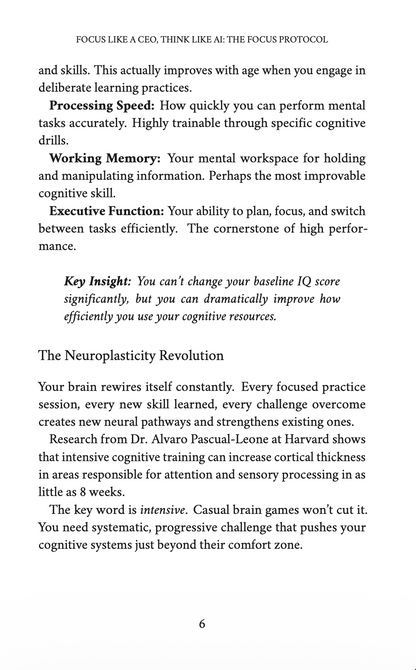 Focus Like A CEO, Think Like AI - E-Book