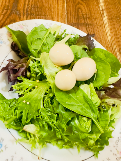 Mild Pickled Quail Eggs