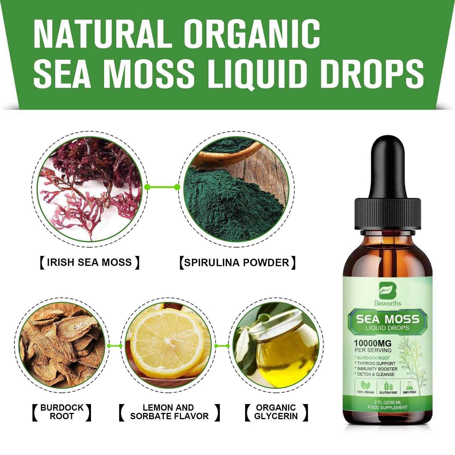 Organic Sea Moss Drops- Joint Support Supplement - Immune Support Supplement
