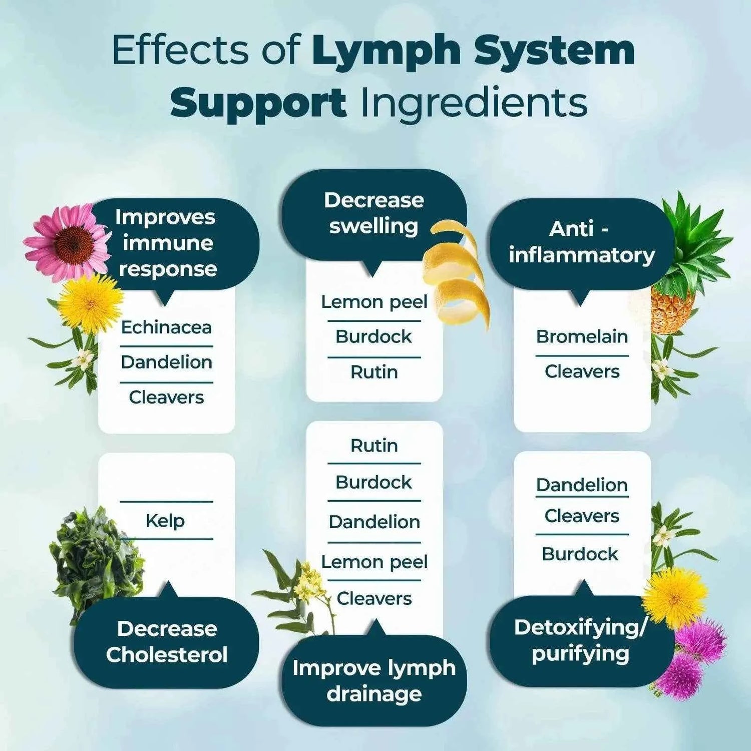 Lymphatic System Support Supplements - Lymphatic Support, Immunity, Skin and Digestion, Immune Support, Reduce Swelling