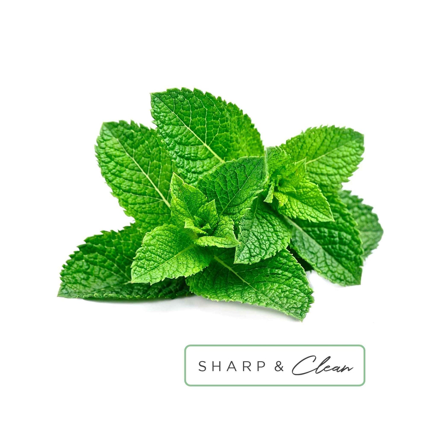 Essential Oil Roll-On in Clarity