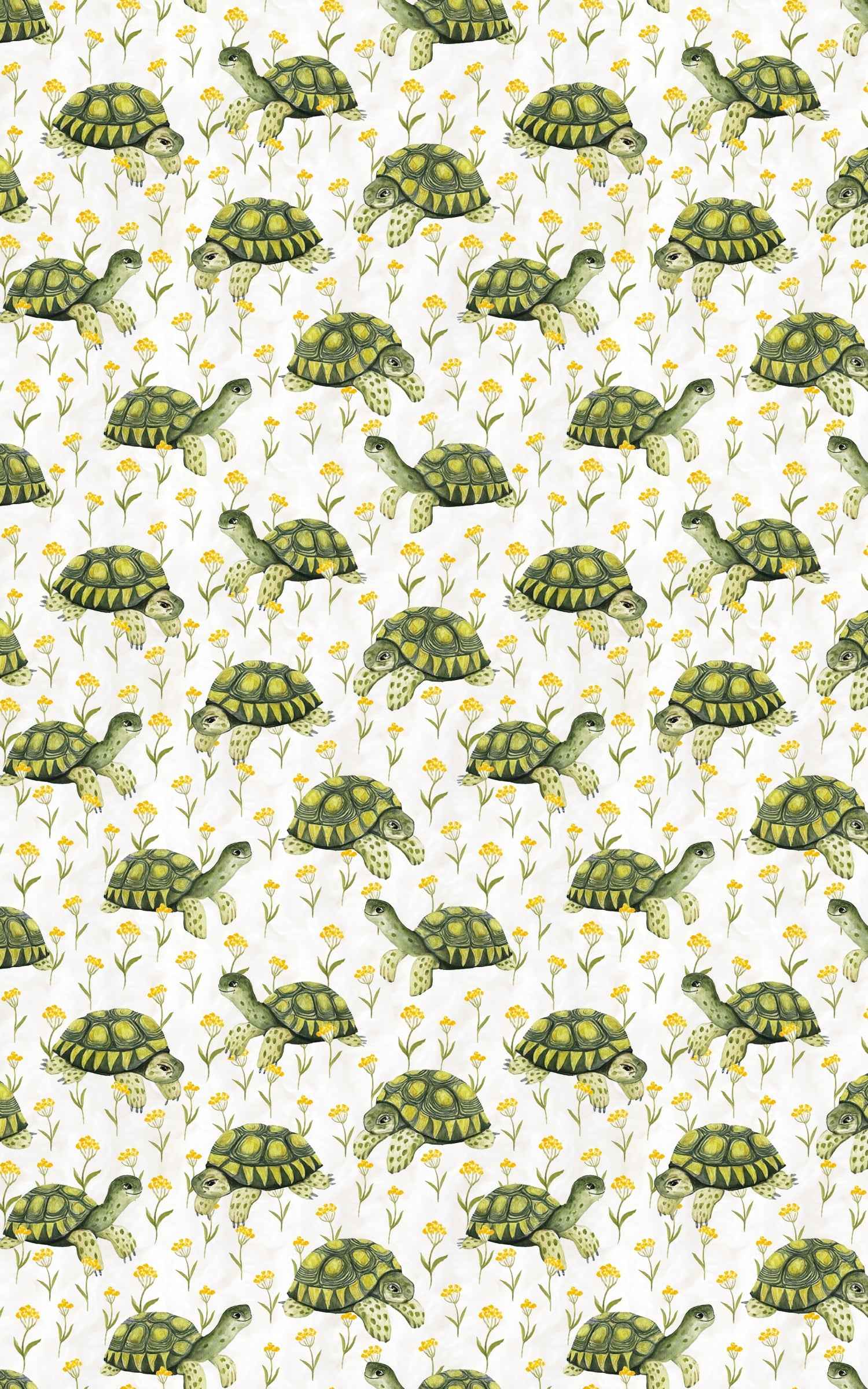 Shellabration Stroll