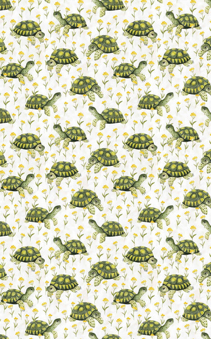 Shellabration Stroll