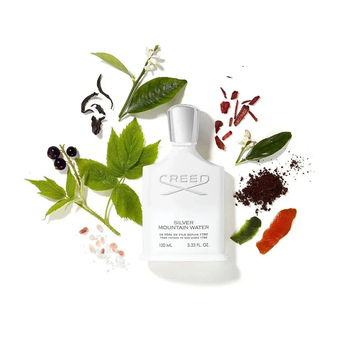 Silver Mountain Water By Creed For Men 3.3oz EDP Spray by perfumesandrea