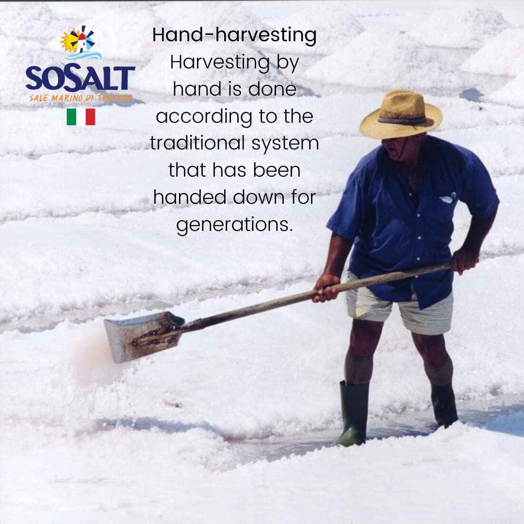 SoSalt, Fine Sea Salt from Sicily, 22 lb (10kg)