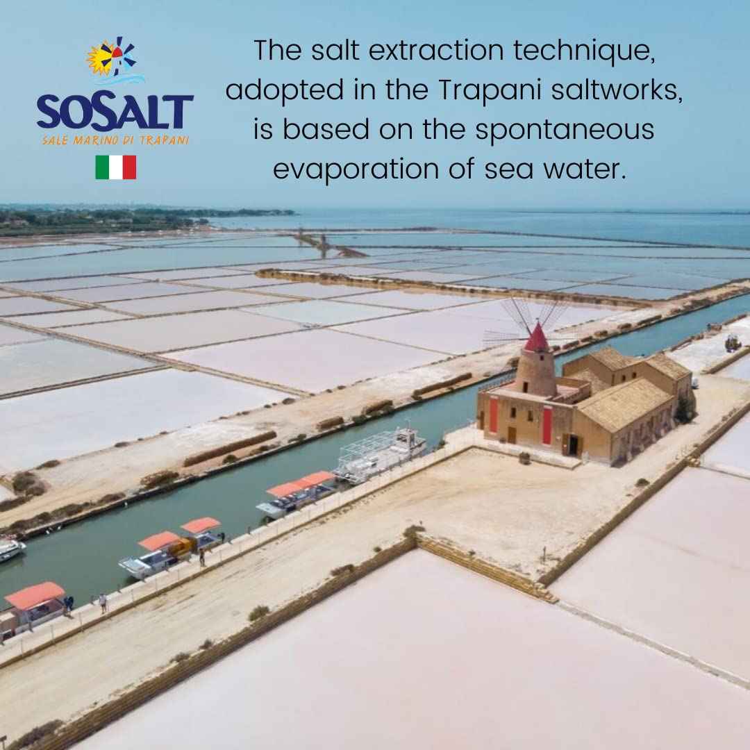 SoSalt, Fine Sea Salt from Sicily, 22 lb (10kg)