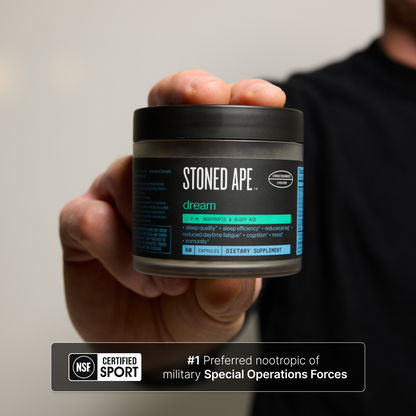 Dream: P.M. Nootropic &amp; Sleep Aid for Recovery