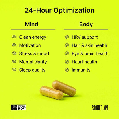 Nootropack: Our Nootropic Bundle