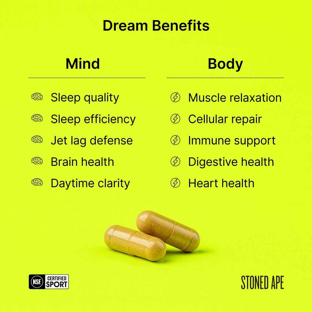 Dream: P.M. Nootropic &amp; Sleep Aid for Recovery