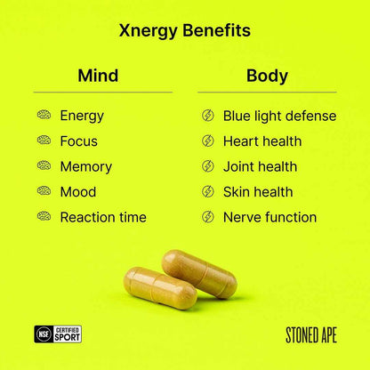 Xnergy: A.M. Nootropic for Calm Energy, Focus &amp; Motivation